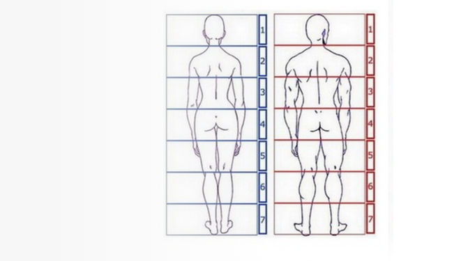 L’avis du Conseil de l’Ethique Publicitaire sur l’image du corps dans la publicité