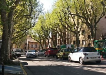 33 nouveaux platanes abattus à Aix-en-Provence