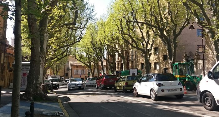 33 nouveaux platanes abattus à Aix-en-Provence