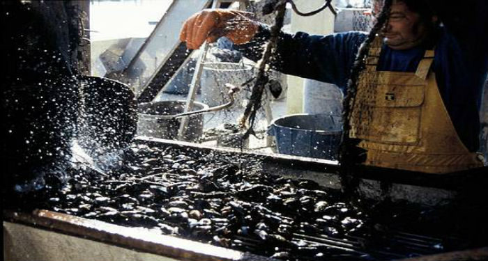 Le Département au chevet de la filière pêche de la Provence à Port-Saint-Louis-du-Rhône