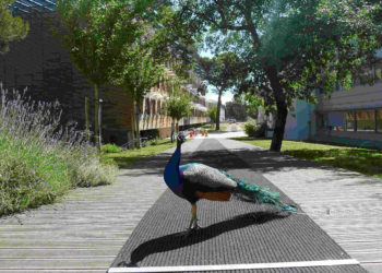 Le technopole de l'Arbois devient une direction du conseil de territoire du Pays d'Aix