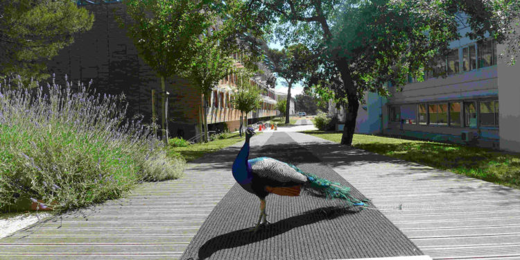 Le technopole de l'Arbois devient une direction du conseil de territoire du Pays d'Aix