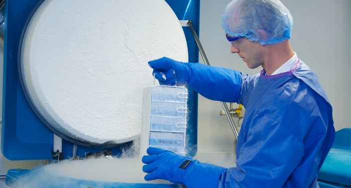 À Paoli Calmettes, Cryostem fait progresser la recherche sur la greffe de moelle osseuse