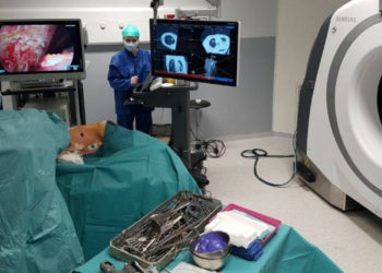 Vidéothoracoscopie, nouveau directeur de l’AP-HM, droguerie, stage arts urbains