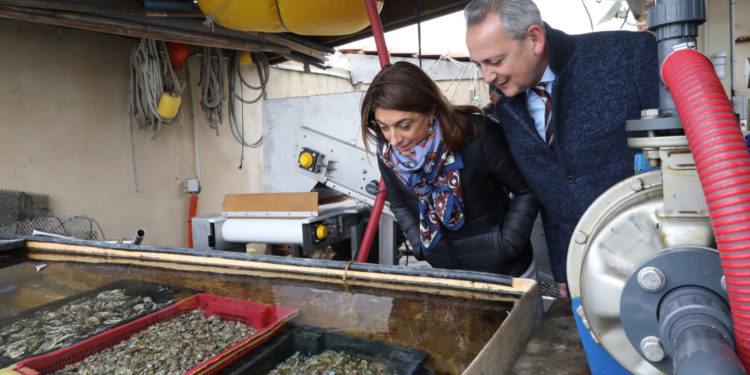 En 2019, la gastronomie sera reine en Provence