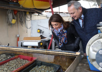 Le Département en soutien des coquillages de Carteau, saveurs métropolitaines méconnues