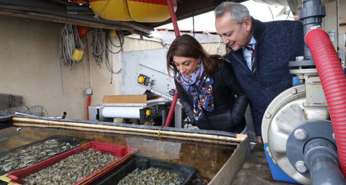 Le Département en soutien des coquillages de Carteau, saveurs métropolitaines méconnues