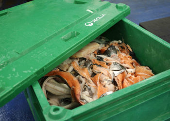 Veolia et Stef s’associent pour créer « Recyfish »