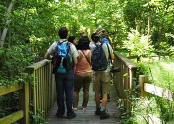 Arpe Paca recherche des entreprises mécènes pour protéger les espaces naturels
