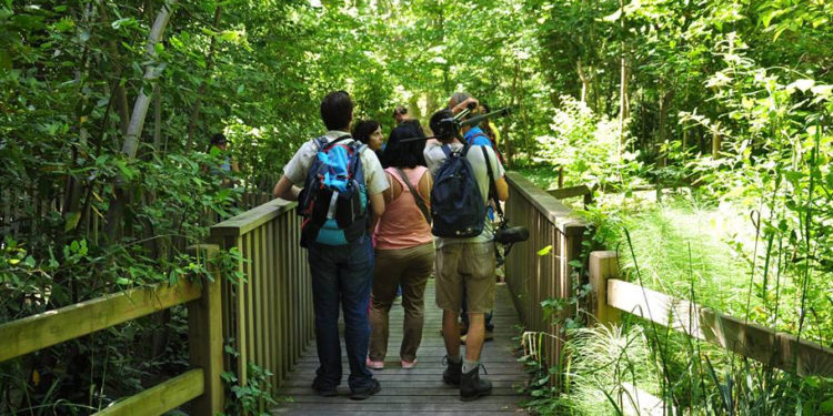 Arpe Paca recherche des entreprises mécènes pour protéger les espaces naturels