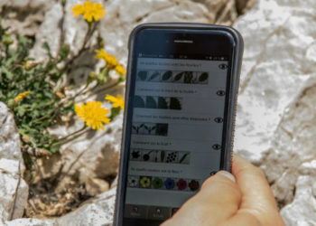 La start-up Natural Solutions prend l'air du large