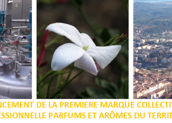 A Grasse, les professionnels des parfums se mobilisent autour d’une marque commune