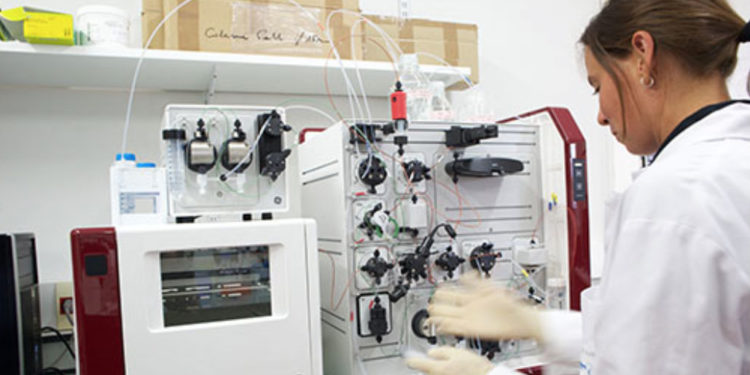 Vivaction, MI-mAbs, Lab'emploi… l'agenda métropolitain de ce 5 juillet