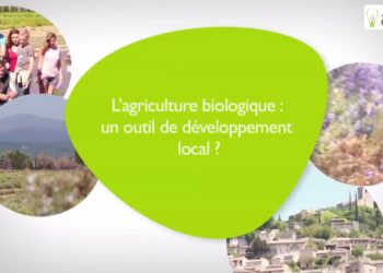 Les conversions en bio progressent sur la région