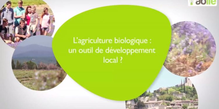 Les conversions en bio progressent sur la région