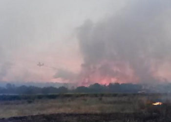 Un mégot mal éteint serait à l'origine de l'incendie de Saint-Cannat