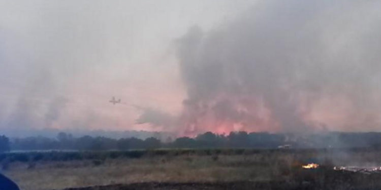Un mégot mal éteint serait à l'origine de l'incendie de Saint-Cannat