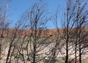 Le département des Bouches-du-Rhône placé en vigilance sécheresse