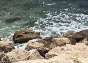 Un protocole d’accord entre la Région et Suez pour préserver la qualité des eaux