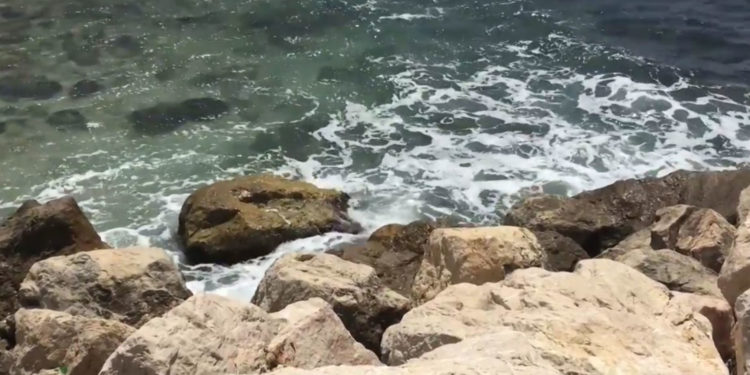 Un protocole d’accord entre la Région et Suez pour préserver la qualité des eaux