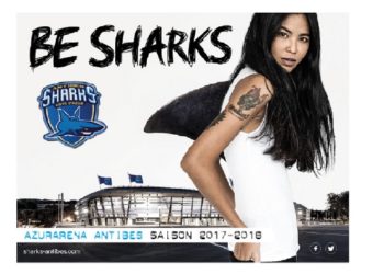 Des ailerons pour les Sharks avec Pôle Company