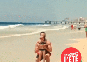 L’AOP Nationale Prune en vidéos avec la Cagole du Sud