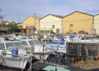 Les projets autour du chantier naval sur l'anse Aubran avancent