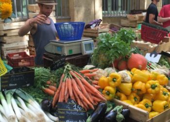 La Métropole AMP lance son projet alimentaire territorial
