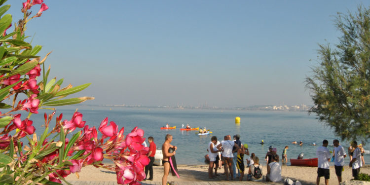 Robert Guédiguian, Eric Cantona, Djibril Cissé… ambassadeurs de l’étang de Berre