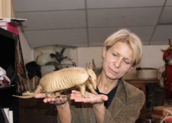 Libres d’aimer… toute la saison de La Criée