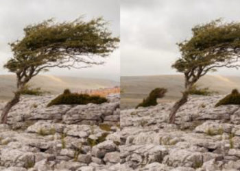 La préfecture des Bouches-du-Rhône prend un arrêté exceptionnel contre les brûlages