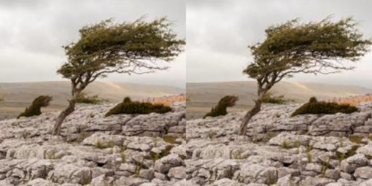 La préfecture des Bouches-du-Rhône prend un arrêté exceptionnel contre les brûlages