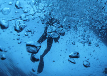 BF Systèmes (Toulon) lève plus de 500 000 euros pour la sécurité des plongeurs