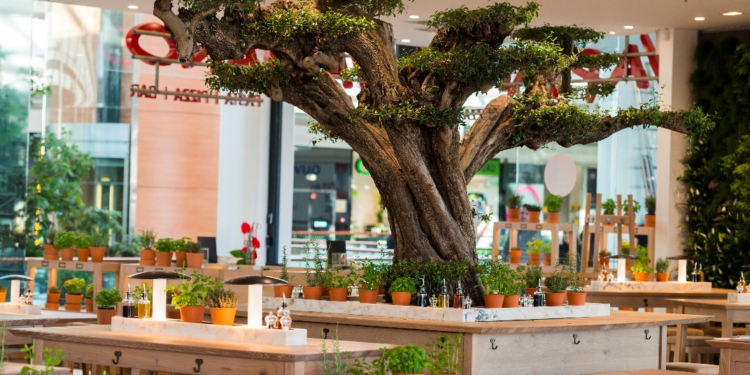 Vapiano ouvre prochainement à La Valentine : et de 3 !