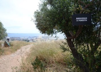 Avec Foresta, le collectif Yes We Camp se met au vert sous Grand Littoral