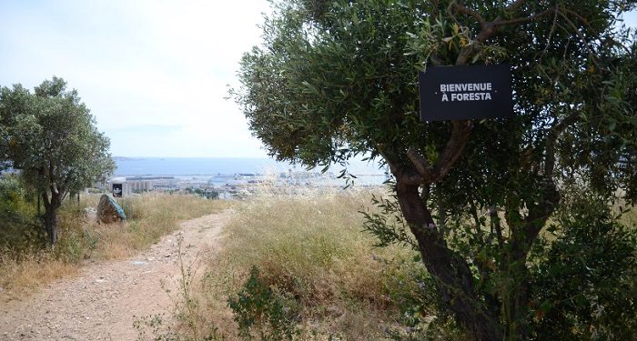 Avec Foresta, le collectif Yes We Camp se met au vert sous Grand Littoral