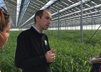 Pascal Penicaud (Tenergie) : « le solaire pourrait fournir jusqu’à 35 % des besoins en électricité de Paca »