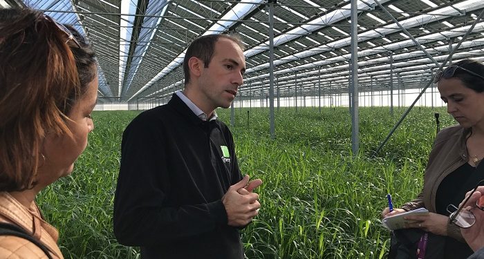 Pascal Penicaud (Tenergie) : « le solaire pourrait fournir jusqu’à 35 % des besoins en électricité de Paca »