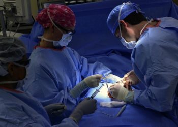 Pytheas Navigation cherche 4 millions d’euros pour son mini-robot chirurgical