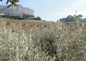 Tourisme : Après une bonne saison 2017, la Région lance son plan de bataille 2018