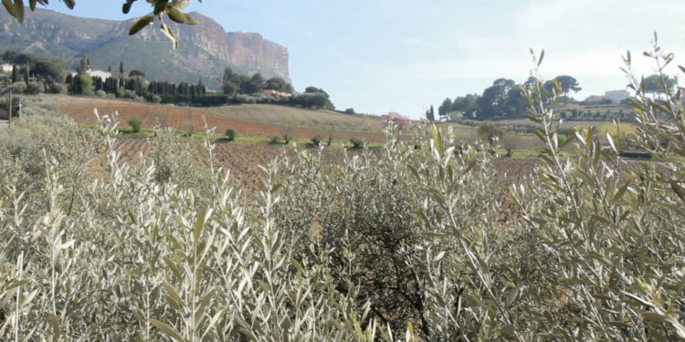 Tourisme : Après une bonne saison 2017, la Région lance son plan de bataille 2018