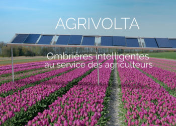 Connected Garden, Agrivolta, Biopool Tech… les start-up en plein développement à la pépinière Cleantech