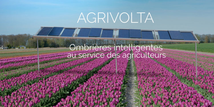Connected Garden, Agrivolta, Biopool Tech… les start-up en plein développement à la pépinière Cleantech