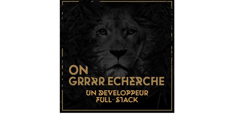 La Jungle gagne des marchés et recrute à Montpellier