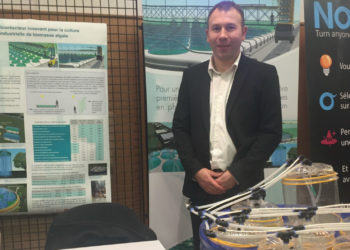 Sunoleo, l’outil de culture innovant de micro-algues, entre en phase de test