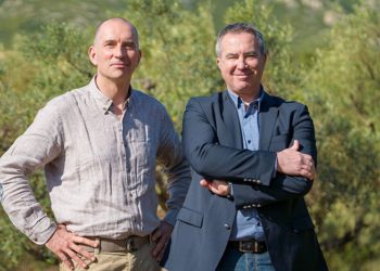 La Phocéenne de Cosmétique reprend les crèmes occitanes Lovéa