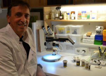 Infestations de punaises de lit : une problématique urbaine, à traiter avec méthode