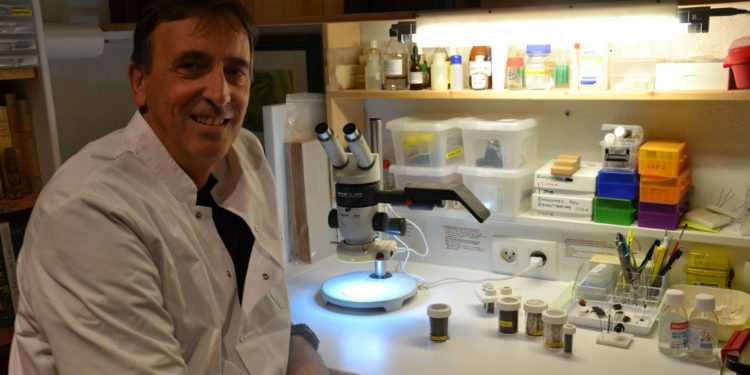 Infestations de punaises de lit : une problématique urbaine, à traiter avec méthode