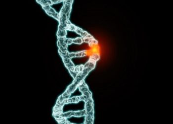 Le CRCM (Marseille) découvre le lien entre mutations génétiques et proximité des lésions dans lʼADN
