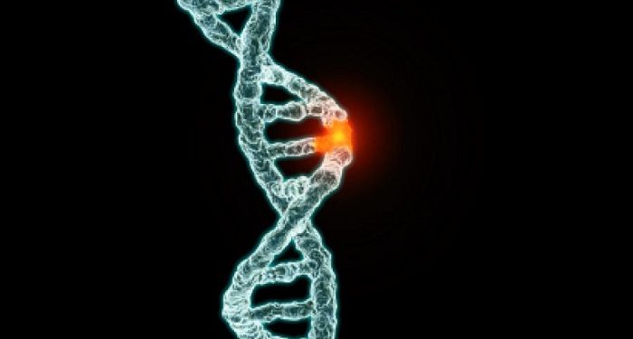 Le CRCM (Marseille) découvre le lien entre mutations génétiques et proximité des lésions dans lʼADN